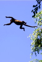 Mosaic Art Retreat Costa Rica