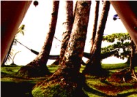 Mosaic Retreat Costa Rica