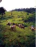 Mosaic Art Retreat Costa Rica