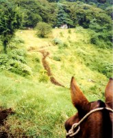 Mosaic Art Retreat Costa Rica