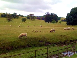 Sonia King at West Dean