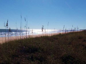 Mosaics on the Marsh