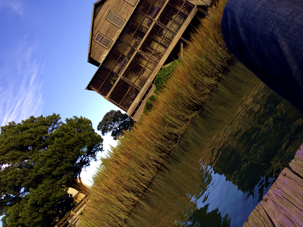 Mosaics on the Marsh 2013
