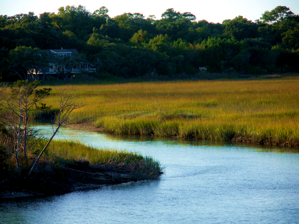 Mosaics on the Marsh 2013