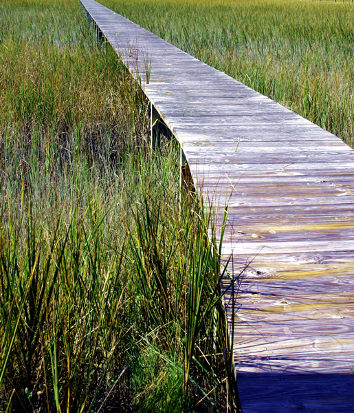 Mosaics on the Marsh 2013