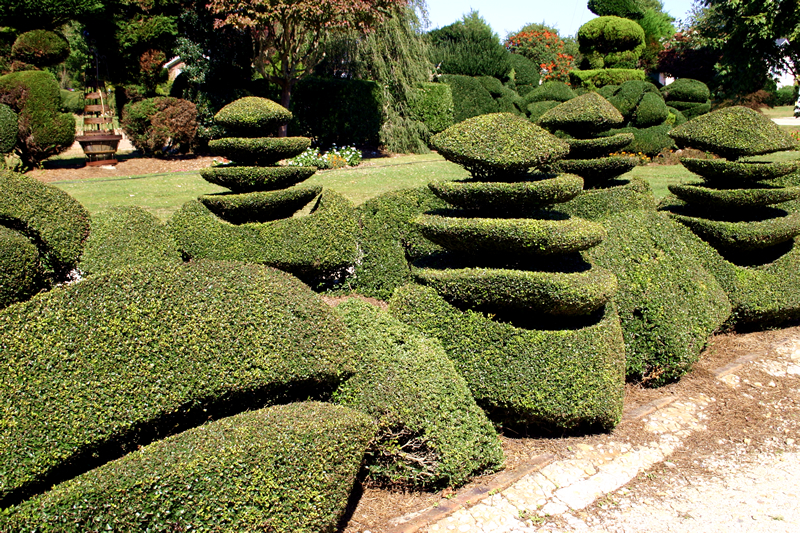 Mosaics on the Marsh 2013