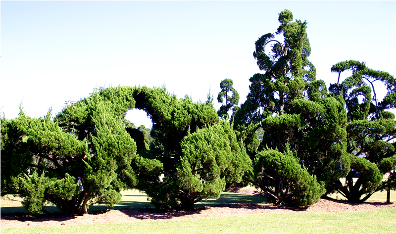 Mosaics on the Marsh 2013