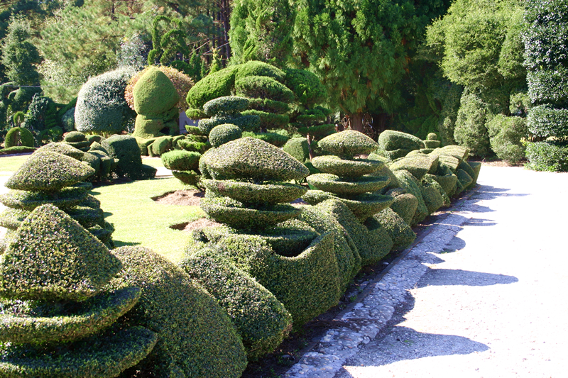 Mosaics on the Marsh 2013