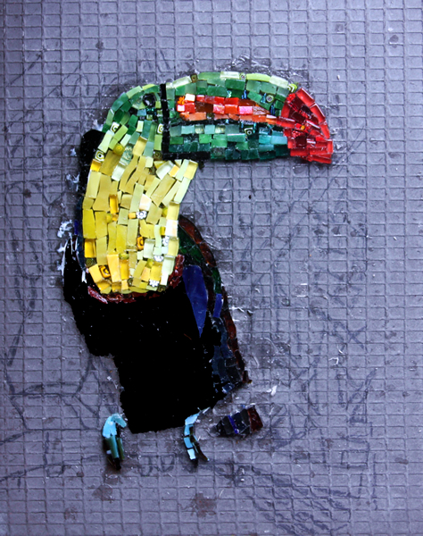 Flora and Fauna Workshop