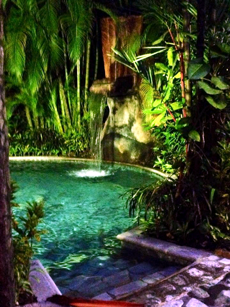 Flora and Fauna Workshop 2013