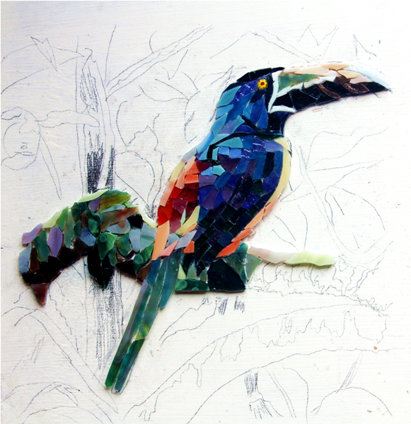 Flora and Fauna Workshop 2013