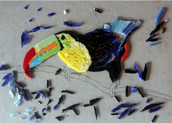 Flora and Fauna Workshop 2013