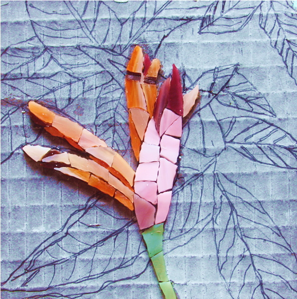 Flora and Fauna Workshop 2013