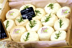 Paris Provence Mosaic Tour