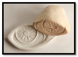 Carol Shelkin Workshops