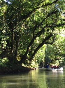 Costa Rica Art Retreat