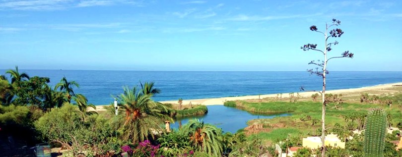 Todos Santos with Santa Barbara School of Mosaic Art